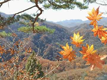 打胎药购买渠道QQ孕7周吃打胎药吗（7周吃药能流掉吗）